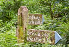 Khác 6 Great Bradley Cottage