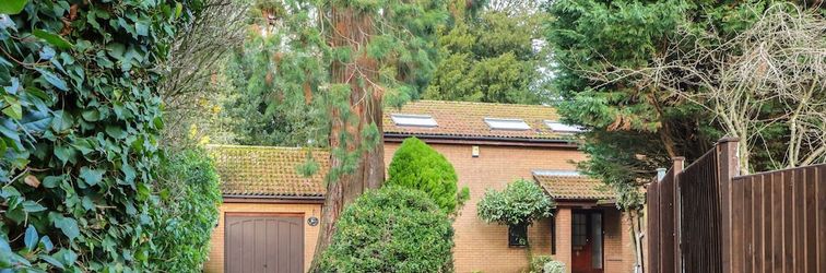 その他 Amberleigh