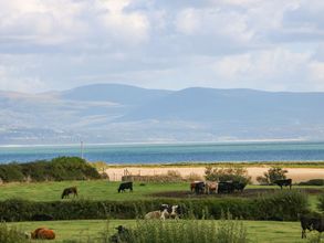 Lain-lain 4 Tan Yr Allt