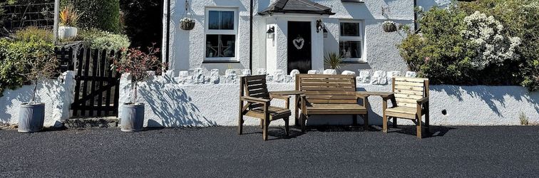 Lain-lain Tan Yr Allt