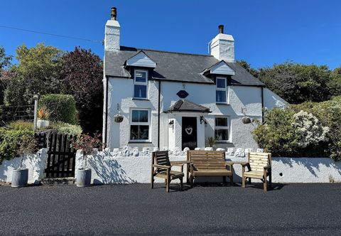 Lain-lain Tan Yr Allt