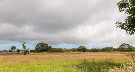 Lain-lain 2 The Roost