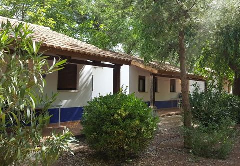 其他 Camping Los Arenales