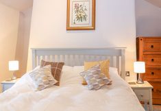 其他 6 Blue Anchor