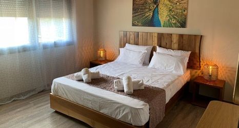 其他 2 Iliovasilema