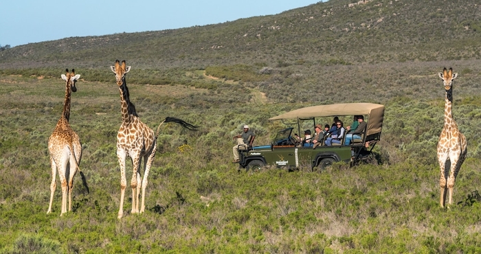 Others Melozhori Game Reserve