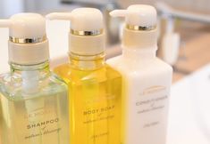 기타 6 The Retreat Mikuni