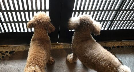 Others 2 Matsushima Koumura