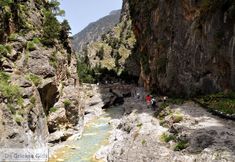 その他 7 Villa Mystique