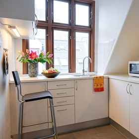 Primary image1哥本哈根市中心舒適 1 房公寓飯店,KIHOSKH飯店