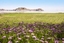 Others Appartamento Bilocale Podere San Marco