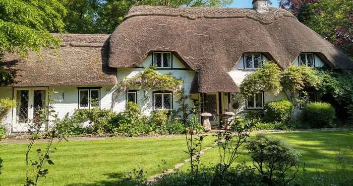 Lainnya Thatched Eaves