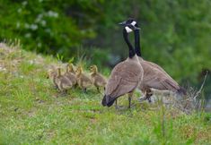 Others 4 Otters Pond Bed & Breakfast