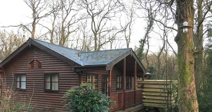 Lainnya Shrew Lodge Hot Tub