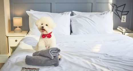 其他 2 Hotel POCO Seongsu