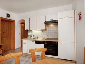Others 4 Animal -friendly Apartment in Leogang