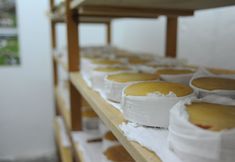 其他 5 Vumba - The Gorongosa Suite