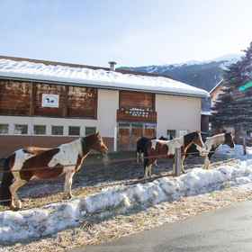 メイン イメージ 1 Paclera Hof Agrotourismus, Scuol Hotels