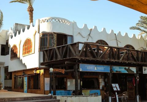 Others Penguin Village Dahab