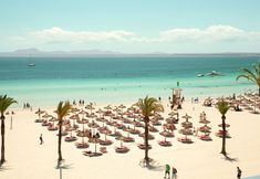 其他 4 Sunwing Alcudia Beach