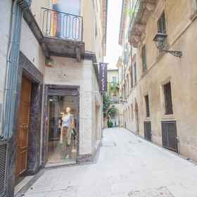 Primary image 1 Palazzo Zeiner Mazzini Apartments, Isola Rizza Apartments