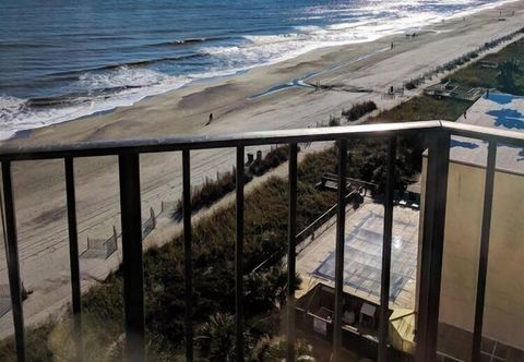 기타 The Palace 805