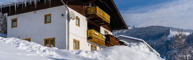 Others 3 Beautiful Apartment in Niedernsill Near Zell Am See-kaprun