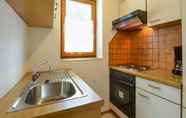 Others 7 Apartment in Leutasch, Tyrol With Meadow