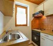Others 7 Apartment in Leutasch, Tyrol With Meadow
