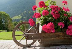 其他 5 Cozy Apartment in Montafon near Ski Area