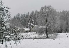 Others 3 Forest-edge Stay, Burtonville