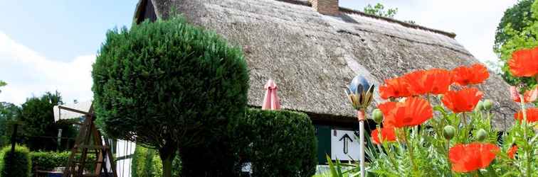 Others Sleep Under a Thatched Roof - Apartment in Ahlbeck near Haff