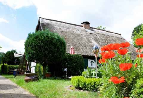 Others Sleep Under a Thatched Roof - Apartment in Ahlbeck near Haff