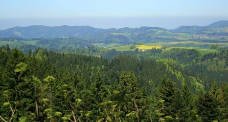 Others 2 Ferienwohnung im Schwarzwald mit Garten