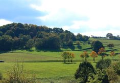 其他 6 Holiday Home in Schwarzhausen Near Forest