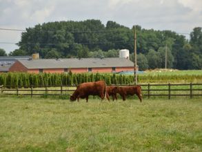 其他 4 Cozy Family Home in Oostkamp