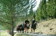 Others 5 Farmhouse With Stables, Horses and the Ability to Make Horseback Riding