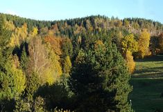 อื่นๆ 3 Sunny Terrace & Quiet Stay