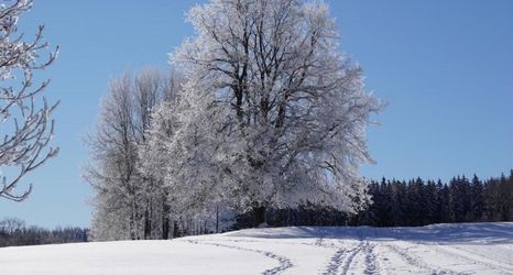 อื่นๆ 2 Sunny Terrace & Quiet Stay