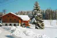 Others Lovely Holiday Home in Viechtach near Forest