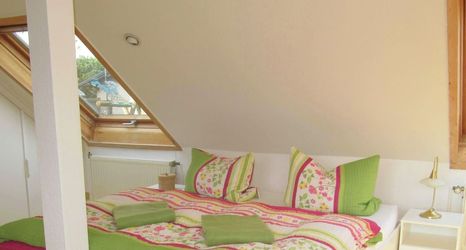 Others 2 Holiday Home with Garden & Terrace near Rennsteig in Thuringian Forest