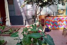 その他 Pachama Café Hostal