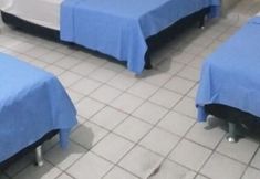 Others 3 Casa do Meio Pousada