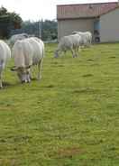 ภาพหลัก Chambre D'hotes La Basse Gougeonnière