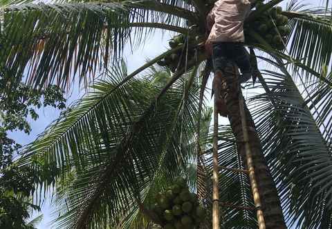 Others Coco Happy Farmstay