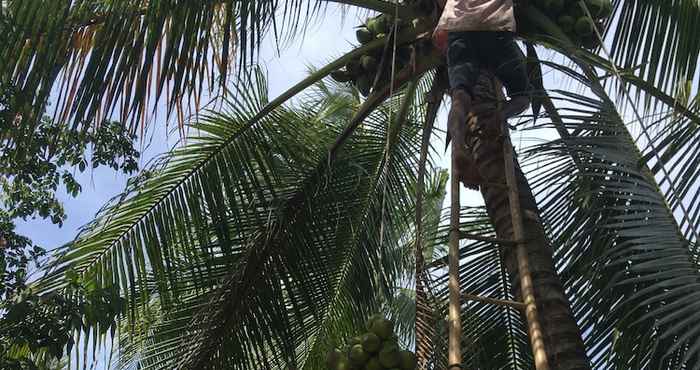 Others Coco Happy Farmstay