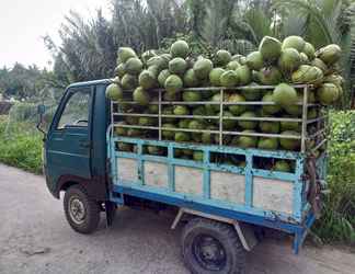 Others 2 Coco Happy Farmstay