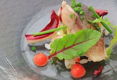 Others 2 Fujinohana Hotel