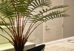 其他 4 Hotel Venus Garden - Adults Only