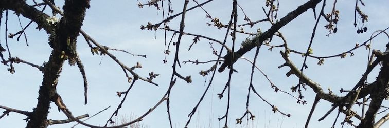 其他 Chambres Chez L'habitant Coco2